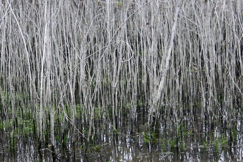 Un mondo riflesso...